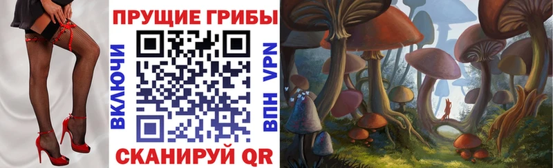 где купить наркоту  Урай  Галлюциногенные грибы Psilocybine cubensis 